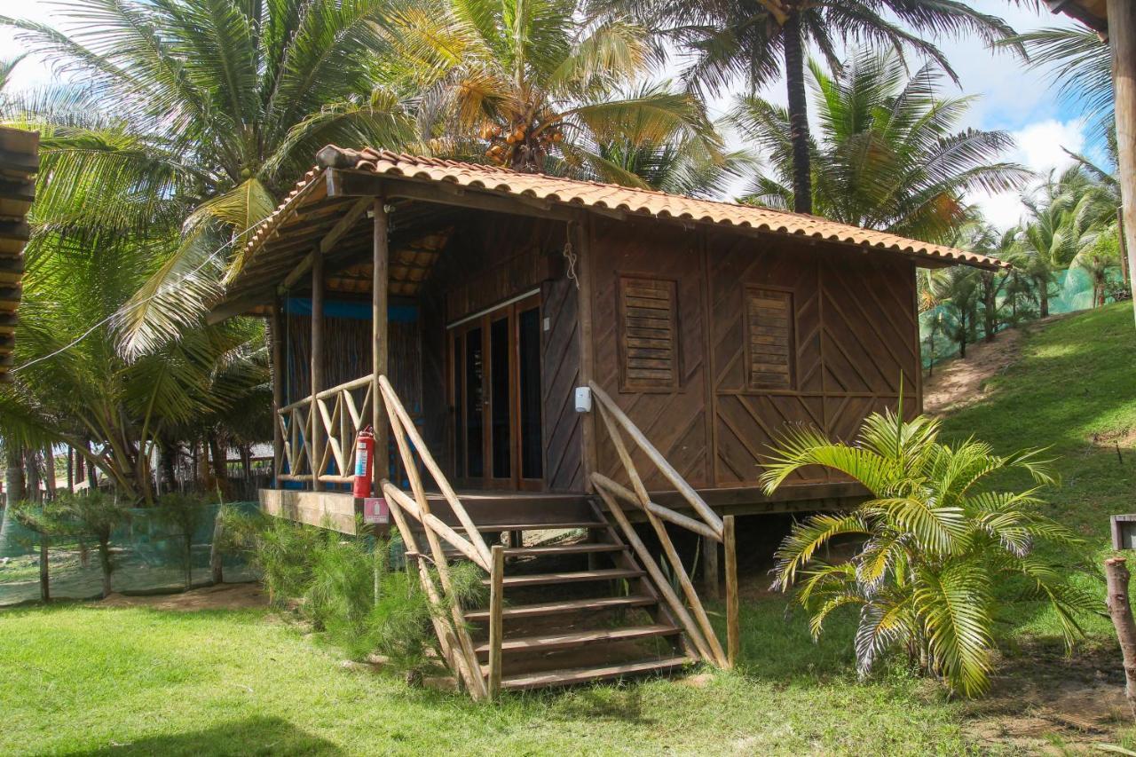 Pousada Palm Beach Praia De Caetanos 호텔 Amontada 외부 사진
